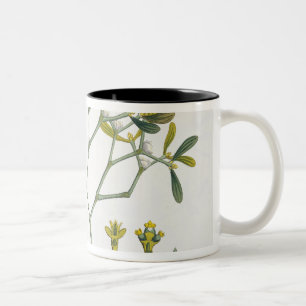 Caneca De Café Em Dois Tons Vidoeiro (deixado) e visco (direito), Fig. 9 e 10