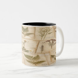 Caneca De Café Em Dois Tons Vintage Botanical Herbarium Pattern