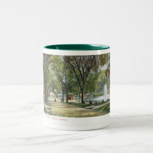 Caneca De Café Em Dois Tons Vintage c1910 comum da lagoa do sapo, Boston