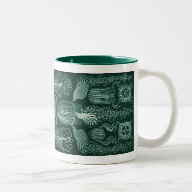 Caneca De Café Em Dois Tons Vintage Haeckel (Direita)