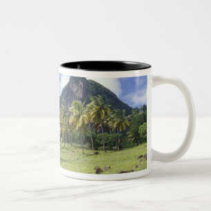 Caneca De Café Em Dois Tons Visão de Gros Piton ao longo da trilha histórica