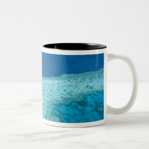 Caneca De Café Em Dois Tons Vista aérea do Grande Barreira de Coral pela