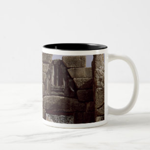 Caneca De Café Em Dois Tons Vista da entrada do leão