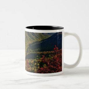 Caneca De Café Em Dois Tons Vista de outono da Linville Gorge muitas vezes cha