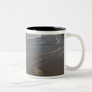 Caneca De Café Em Dois Tons Vistas costeiras, Bandon, Oregon