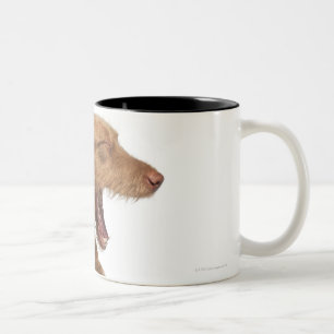 Caneca De Café Em Dois Tons Vizsla que boceja na frente da terra da parte