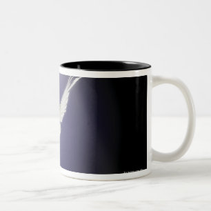 Caneca De Café Em Dois Tons Vôo da pomba através do feixe de luz