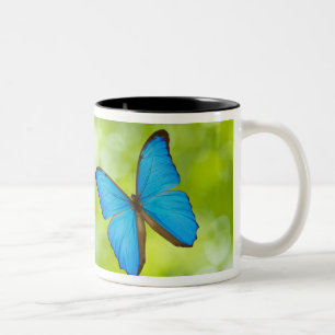 Caneca De Café Em Dois Tons Voo das borboletas