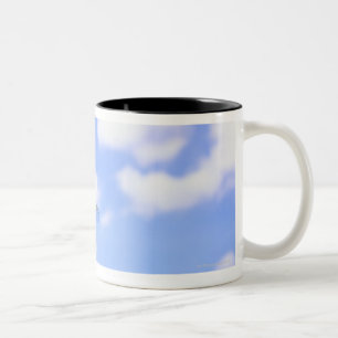 Caneca De Café Em Dois Tons Vôo verde do darner (junius de Anax) contra