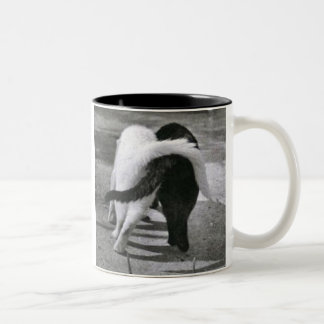 Caneca De Café Em Dois Tons w7ij4i [1]