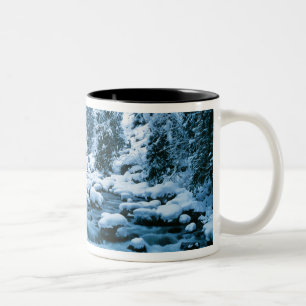 Caneca De Café Em Dois Tons WA, Floresta Nacional de Wenatchee, Cascade