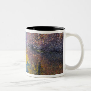 Caneca De Café Em Dois Tons WA, Floresta Nacional de Wenatchee, Whitepine Cree