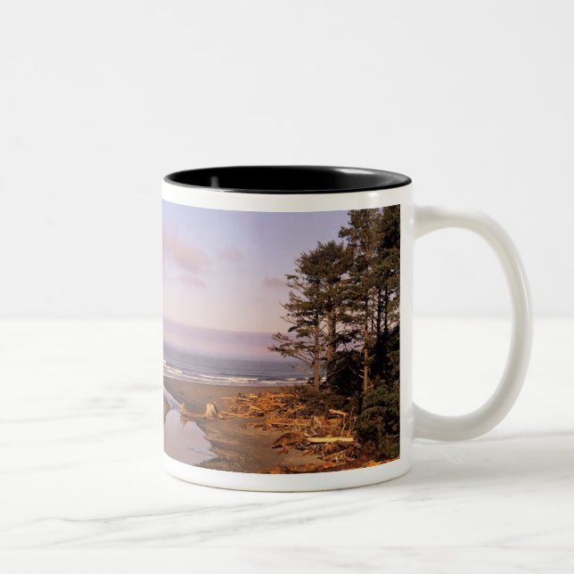 Caneca De Café Em Dois Tons WA, Olimpiadas NP, Kalaloch Beach e Kalaloch (Direita)