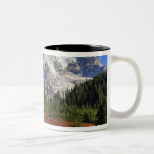 Caneca De Café Em Dois Tons WA, Parque Nacional do Mt. Rainier, Vale do Paraí