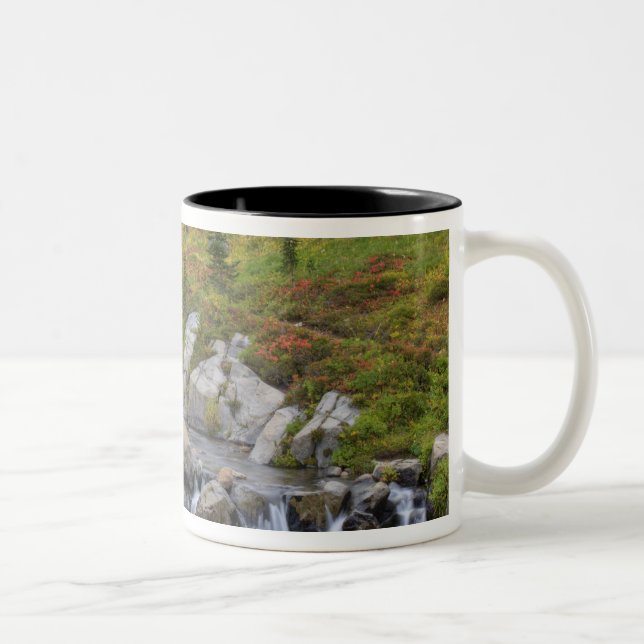 Caneca De Café Em Dois Tons WA, Parque Nacional Mt. Rainier, Edith Creek (Direita)