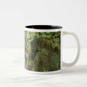Caneca De Café Em Dois Tons WA, Parque Nacional Olímpico, Floresta Tropical Ho