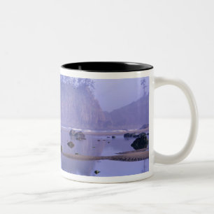 Caneca De Café Em Dois Tons WA, Parque Nacional Olímpico, Segunda Praia,