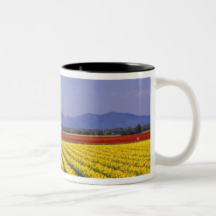 Caneca De Café Em Dois Tons WA, Skagit Valley, Skagit Valley Tulip 2