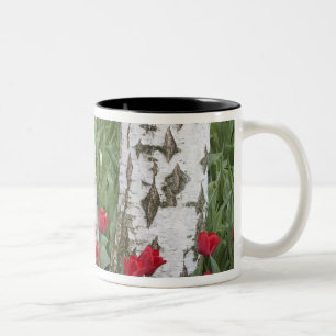 Caneca De Café Em Dois Tons WA, Vale do Skagit, Jardim de Tulipas Roozengaarde