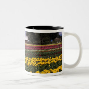 Caneca De Café Em Dois Tons WA, Vale do Skagit, Tulipa do Vale do Skagit