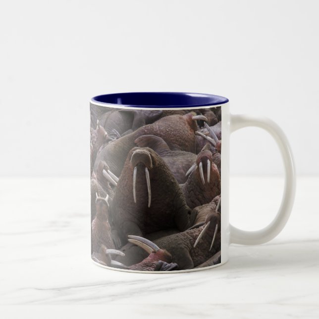 Caneca De Café Em Dois Tons Walrus Mug (Direita)