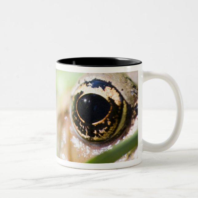 Caneca De Café Em Dois Tons Washington, EUA (Direita)