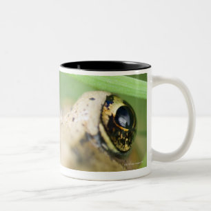 Caneca De Café Em Dois Tons Washington, EUA 2
