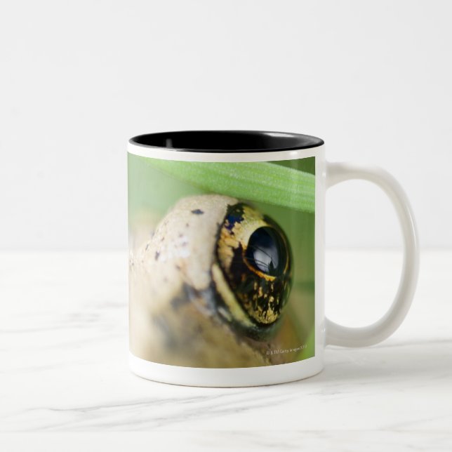 Caneca De Café Em Dois Tons Washington, EUA 2 (Direita)