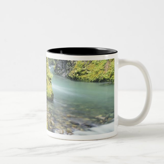 Caneca De Café Em Dois Tons Washington, Parque Nacional Olímpico, Sazonal (Direita)