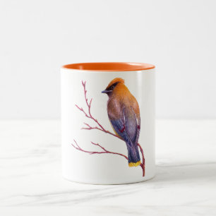 Caneca De Café Em Dois Tons Waxwing de cedro