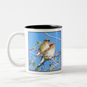 Caneca De Café Em Dois Tons Waxwings de cedro