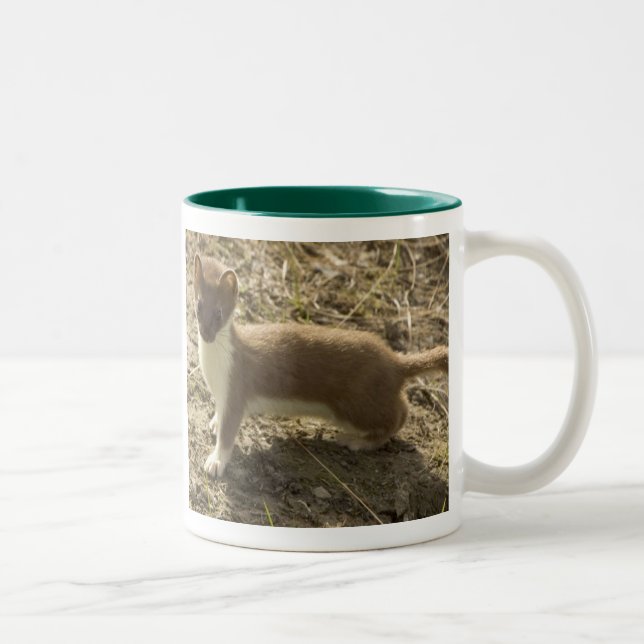Caneca De Café Em Dois Tons weasel Mug (Direita)