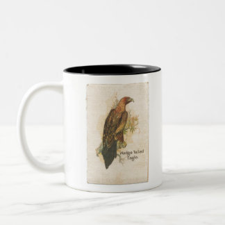 Caneca De Café Em Dois Tons Wedge Tailed Eagle