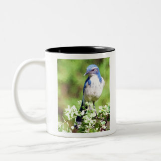 Caneca De Café Em Dois Tons Western Scrub Jay