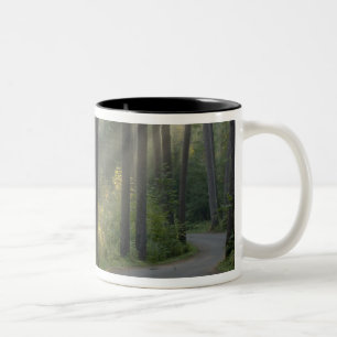 Caneca De Café Em Dois Tons Wilderness Drive, Parque Estadual de Itasca,
