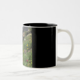 Caneca De Café Em Dois Tons Wildflowers da montanha rochosa