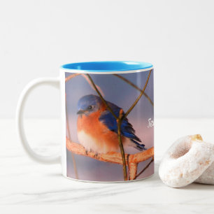 Caneca De Café Em Dois Tons Winter Bluebird Animal Personalizado