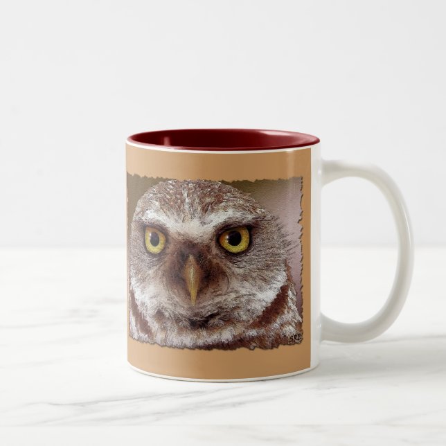 CANECA DE CAFÉ EM DOIS TONS WISDOM OWL (Direita)