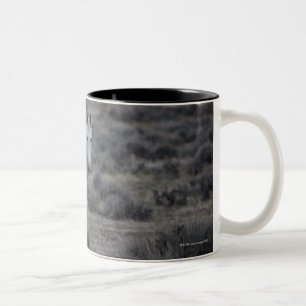 Caneca De Café Em Dois Tons wyoming, Estados Unidos da América