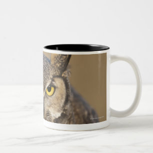 Caneca De Café Em Dois Tons wyoming, EUA