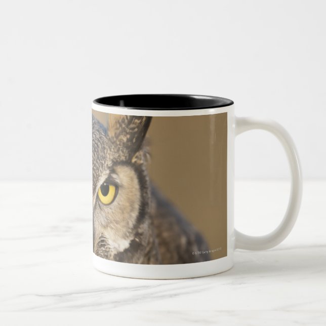 Caneca De Café Em Dois Tons wyoming, EUA (Direita)