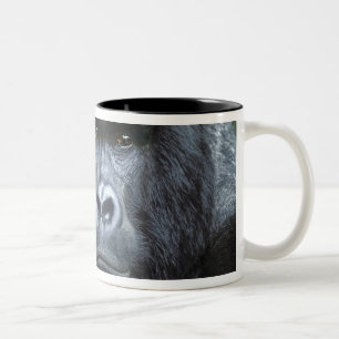 Caneca De Café Em Dois Tons Zaire, Parque Nacional Virungas. Retrato de