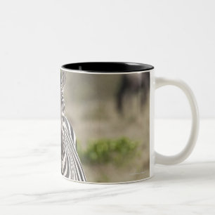 Caneca De Café Em Dois Tons Zebra 2