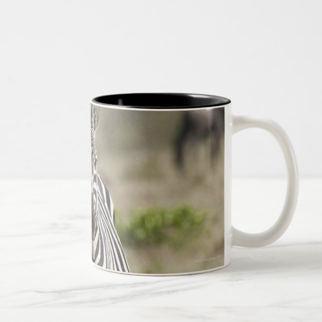 Caneca De Café Em Dois Tons Zebra 2 (Direita)