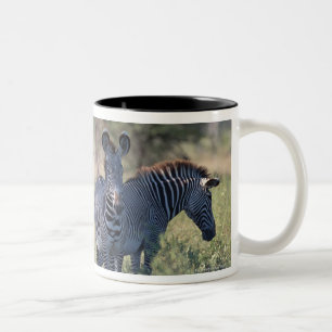 Caneca De Café Em Dois Tons Zebra 2