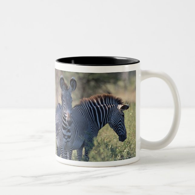 Caneca De Café Em Dois Tons Zebra 2 (Direita)