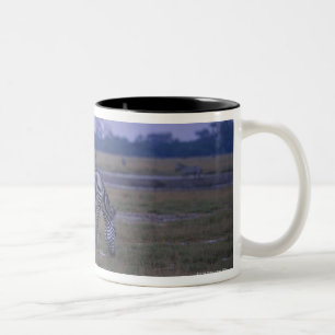 Caneca De Café Em Dois Tons Zebra 3 de Grant