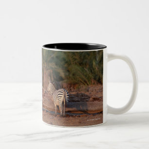 Caneca De Café Em Dois Tons Zebra 5 de Grant