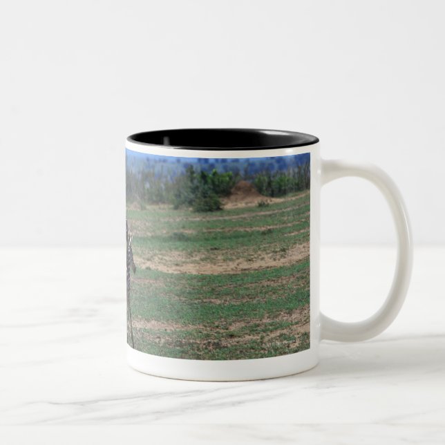 Caneca De Café Em Dois Tons Zebra de Grant (Direita)