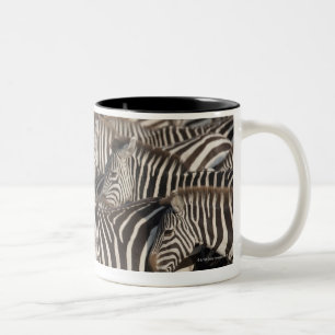 Caneca De Café Em Dois Tons Zebras, Kenya, África